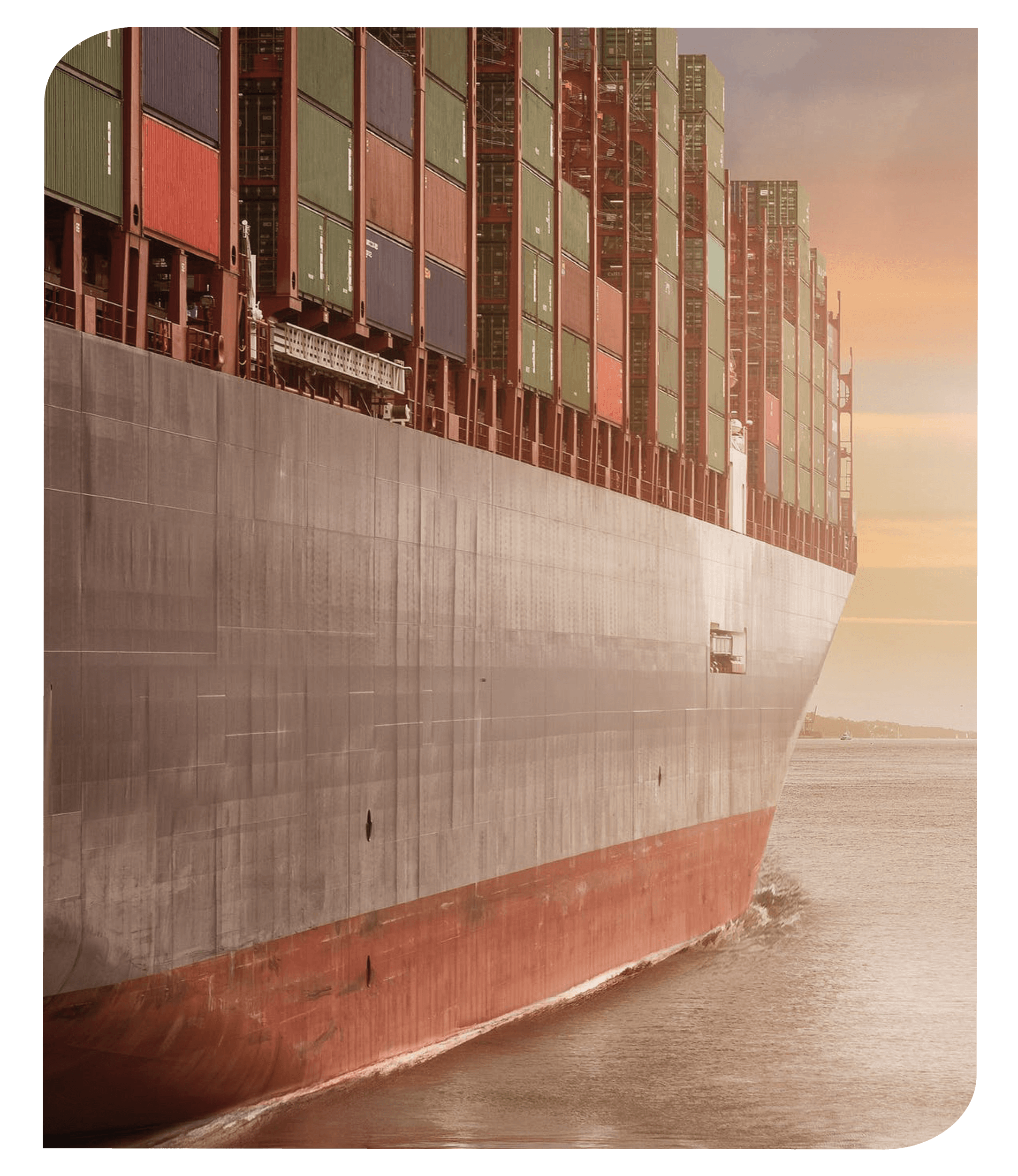 Import Management
